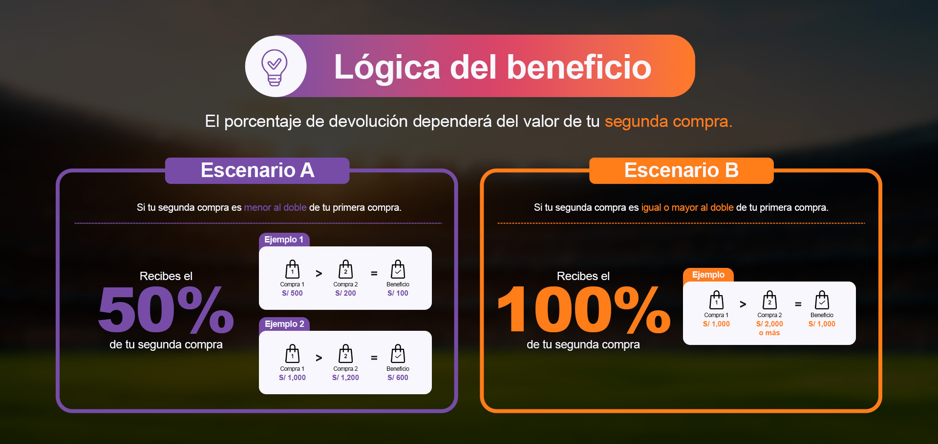 Dinámica de la campaña